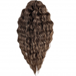 Цвет t4/14a - Профессиональные товары для брейдинга